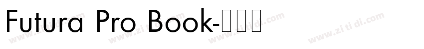 Futura Pro Book字体转换